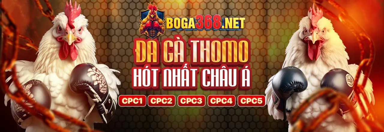 Tỷ lệ kèo hấp dẫn và cập nhật nhanh chóng